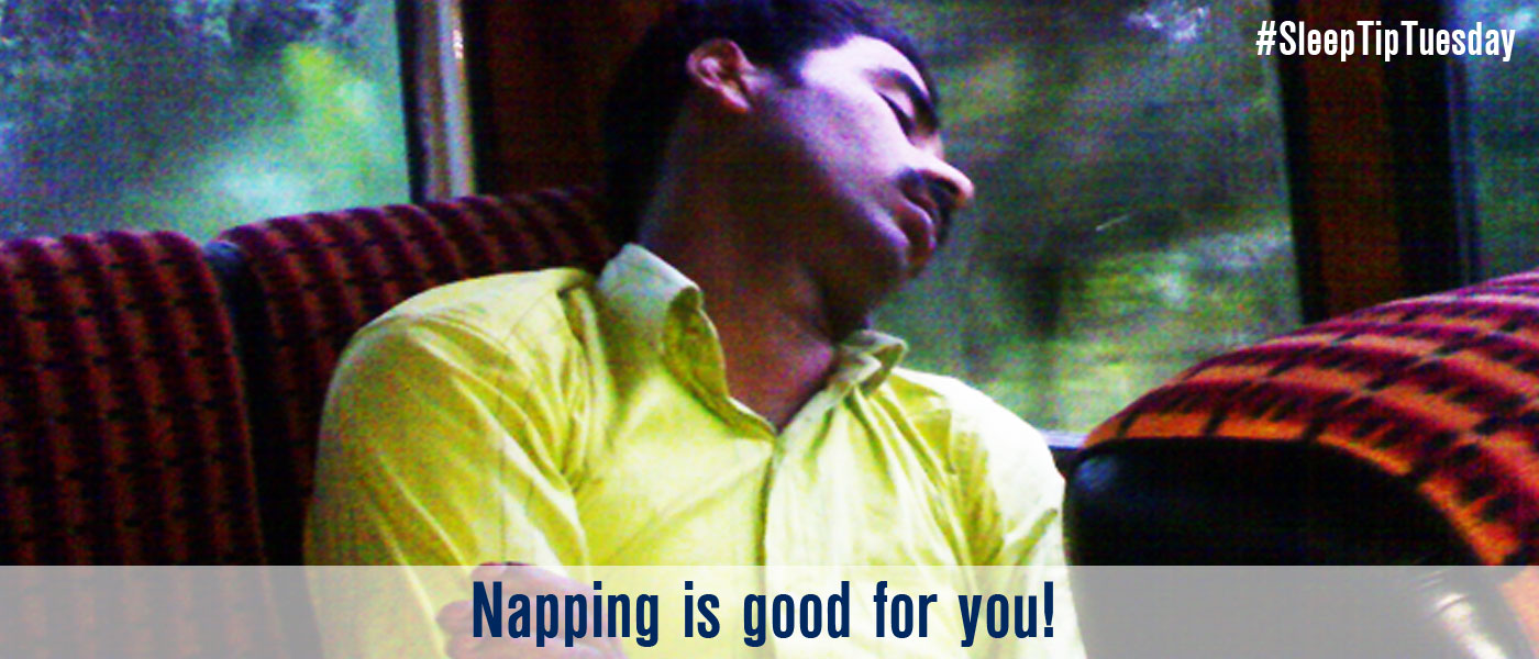 Napping Is Good For You! It's A Fact! It Aids Learning, Memory, And Awareness!