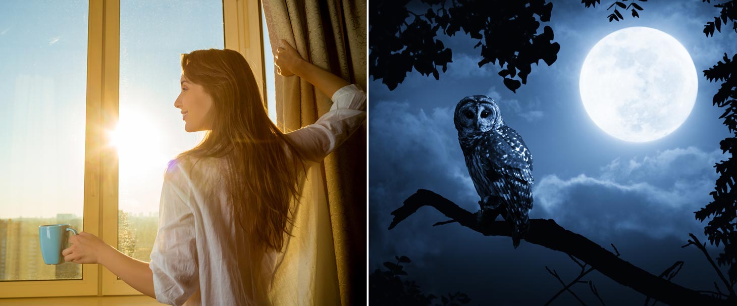 Early Bird or Night Owl - Which Are You?