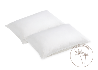 Evercomfy Anti-Allergy Pillows (Pair)