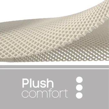 Plush Comfort