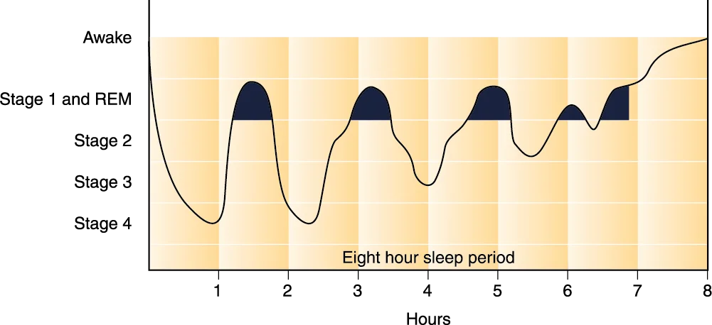 Sleep chart