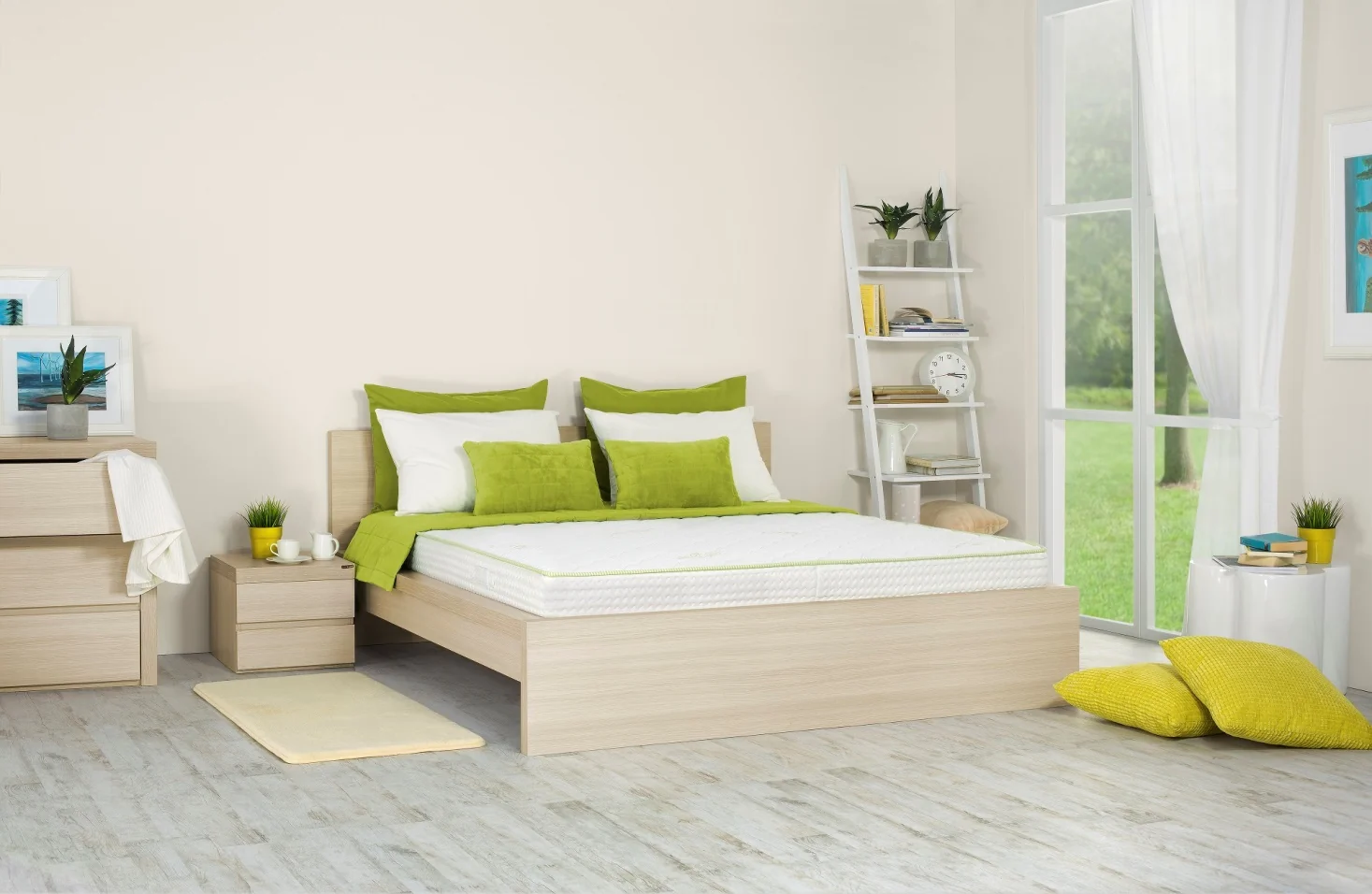 The Aloe Vera Story | Dormeo UK