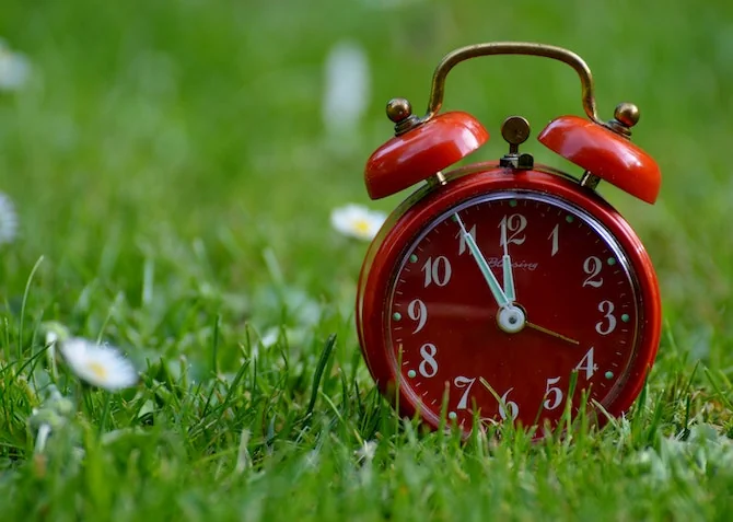 clock in grass