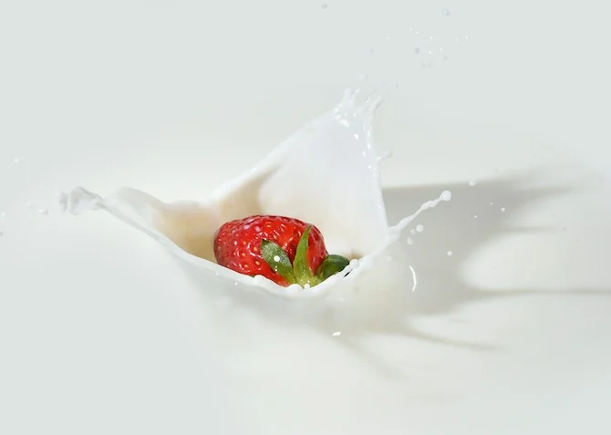 yoghurt