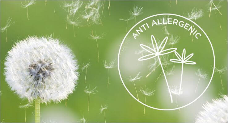 Anti-allergenic & Anti Dust Mite