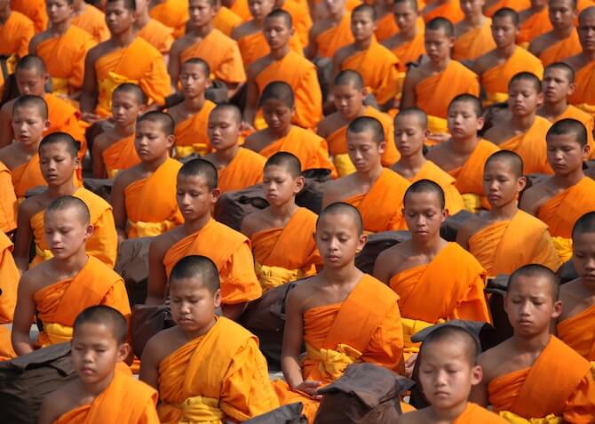 young buddhist monks sitting in lines