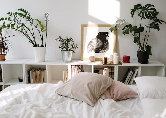 plants in a bedroom making a sleep-friendly sleep environment